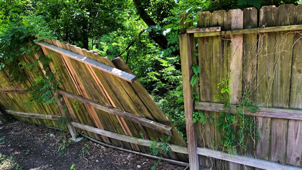 Leaning, rotted wooden privacy fence with broken panels and overgrown vegetation, showing clear signs a fence is too old and needs replacement.