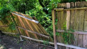 Leaning, rotted wooden privacy fence with broken panels and overgrown vegetation, showing clear signs a fence is too old and needs replacement.