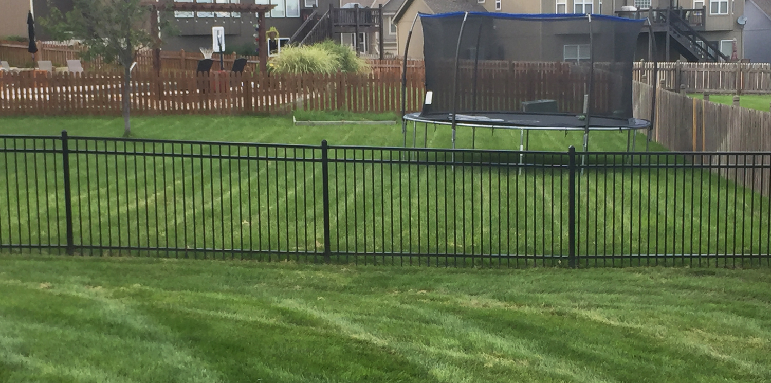 Elite Fence installation of a black Centurion Select Aluminum Fence separating two residential backyard sections.