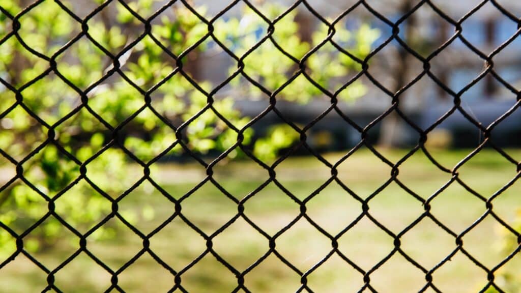Close-up of a black vinyl-coated chain link fence with a blurred green yard background, highlighting residential security fence ideas.