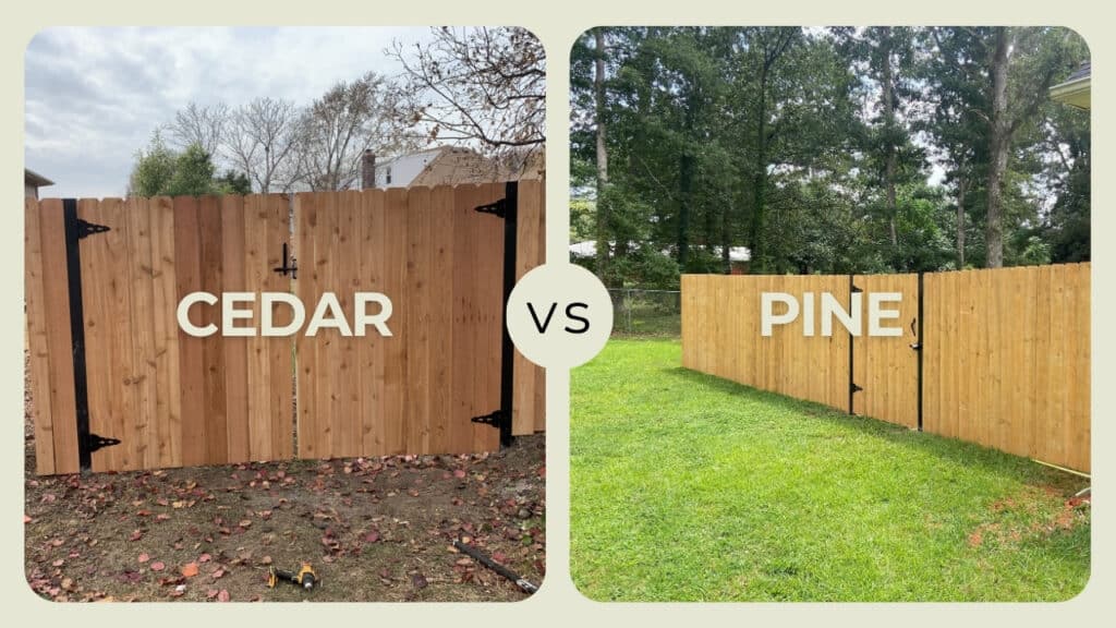 Visual guide comparing cedar vs pine fencing materials, showing different wood grain colors and hardware styles for a backyard fence.