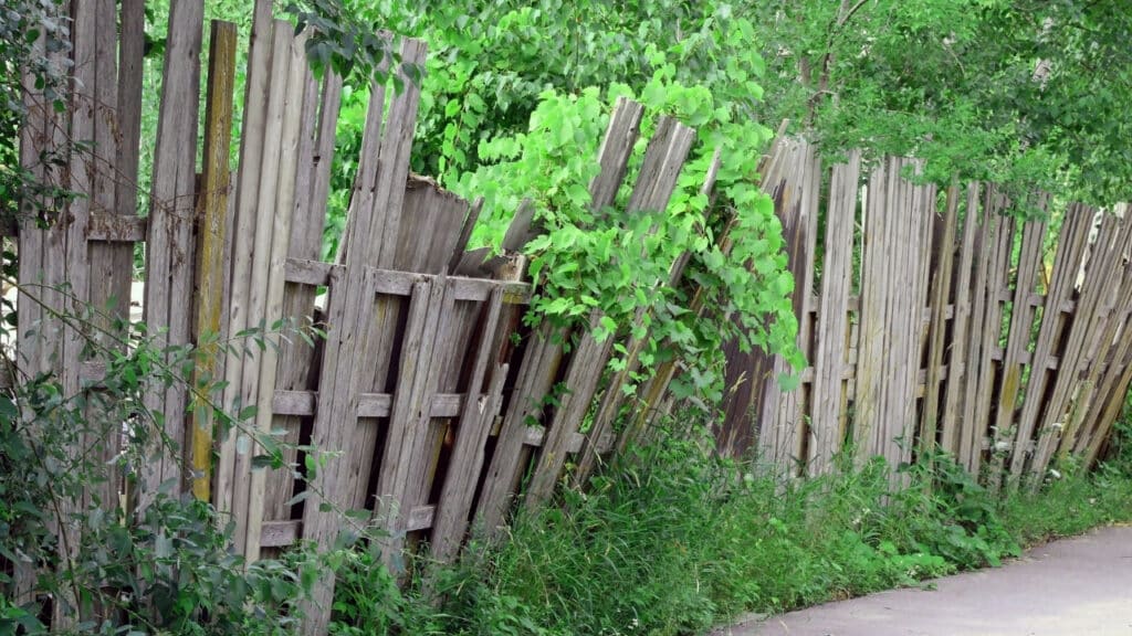 Old broken wooden privacy fence leaning and collapsing, requiring professional fence repair and post replacement.